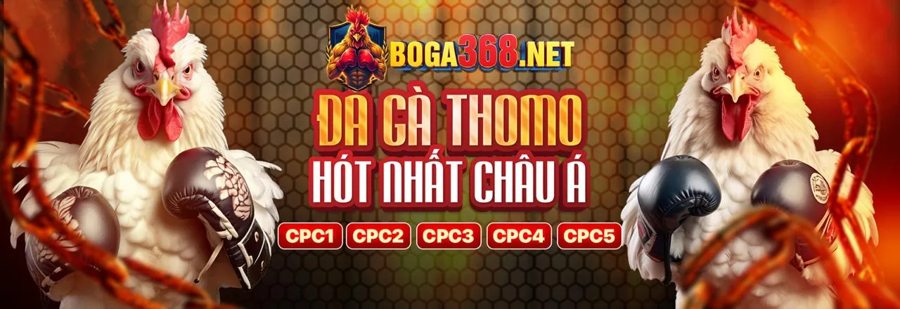 Đá Gà Trực Tuyến 89bet win 2026